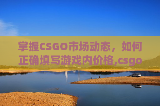 掌握CSGO市场动态，如何正确填写游戏内价格,csgo市场在售物品价格