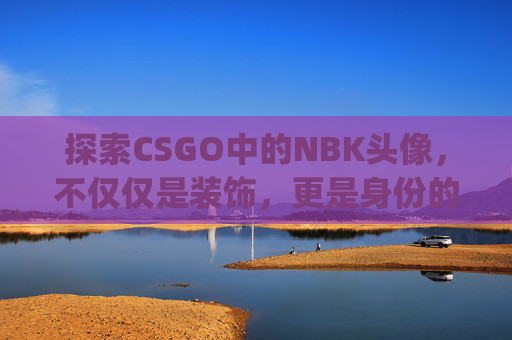 探索CSGO中的NBK头像，不仅仅是装饰，更是身份的象征,mygo cs头像