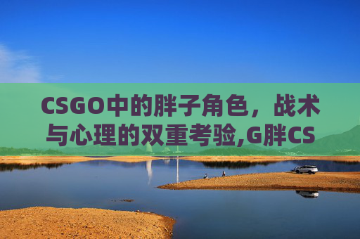 CSGO中的胖子角色，战术与心理的双重考验,G胖CSGO