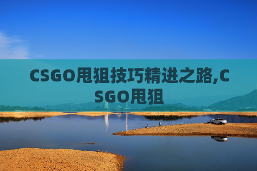CSGO甩狙技巧精进之路,CSGO甩狙
