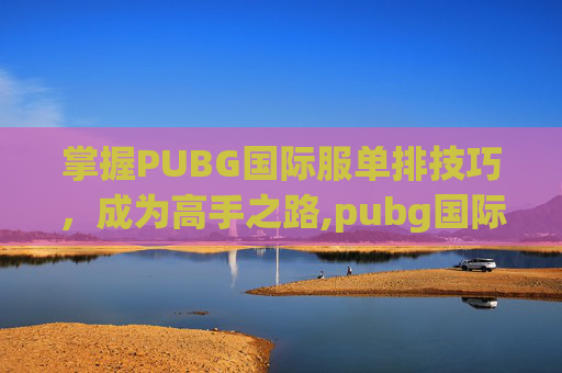 掌握PUBG国际服单排技巧，成为高手之路,pubg国际服模式