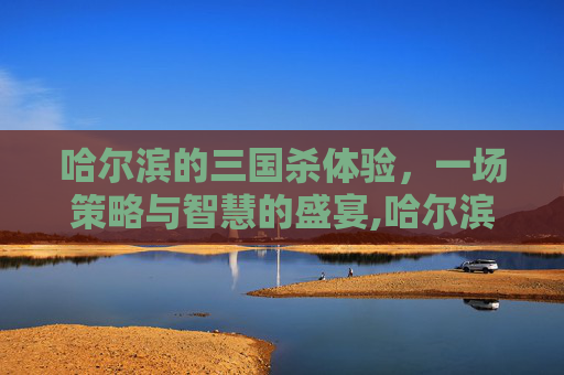 哈尔滨的三国杀体验，一场策略与智慧的盛宴,哈尔滨有三国杀吗现在