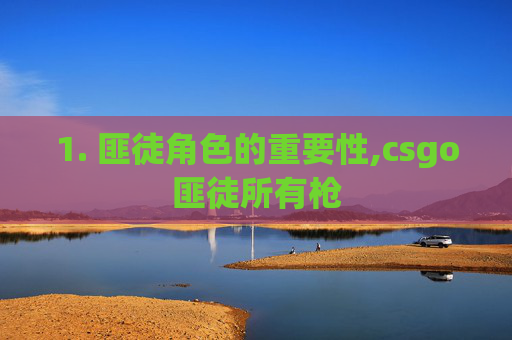 1. 匪徒角色的重要性,csgo匪徒所有枪