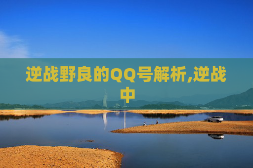 逆战野良的QQ号解析,逆战中