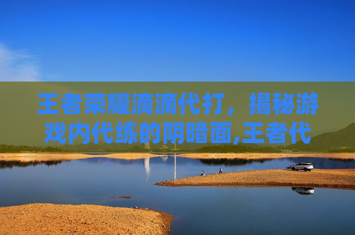 王者荣耀滴滴代打，揭秘游戏内代练的阴暗面,王者代打可以在哪接单