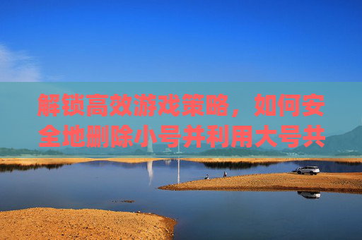 解锁高效游戏策略，如何安全地删除小号并利用大号共享资源,pubg取消家庭共享账户
