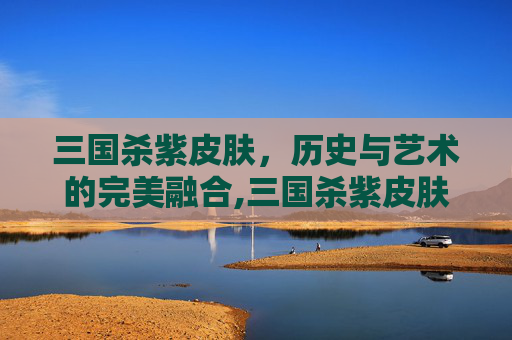 三国杀紫皮肤，历史与艺术的完美融合,三国杀紫皮肤有什么用