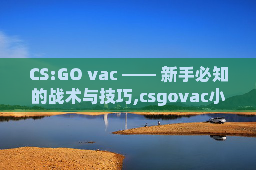 CS:GO vac —— 新手必知的战术与技巧,csgovac小作文