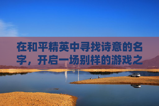 在和平精英中寻找诗意的名字，开启一场别样的游戏之旅,和平精英名字带有诗意