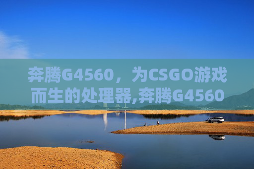 奔腾G4560，为CSGO游戏而生的处理器,奔腾G4560详细参数表