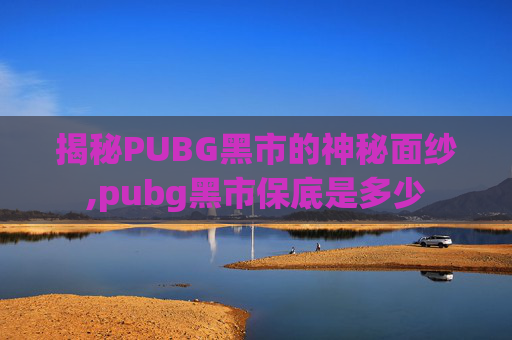 揭秘PUBG黑市的神秘面纱,pubg黑市保底是多少