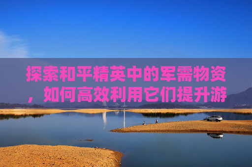 探索和平精英中的军需物资，如何高效利用它们提升游戏胜率,和平精英军需盘点