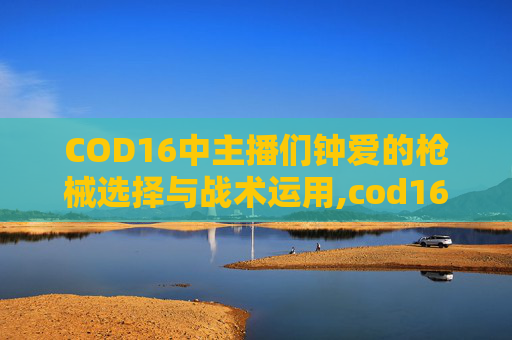 COD16中主播们钟爱的枪械选择与战术运用,cod16吃鸡配装