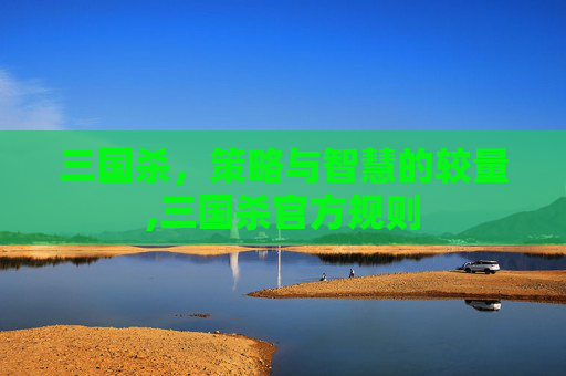 三国杀，策略与智慧的较量,三国杀官方规则