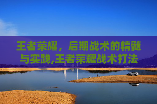 王者荣耀，后期战术的精髓与实践,王者荣耀战术打法