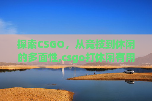 探索CSGO，从竞技到休闲的多面性,csgo打休闲有用吗