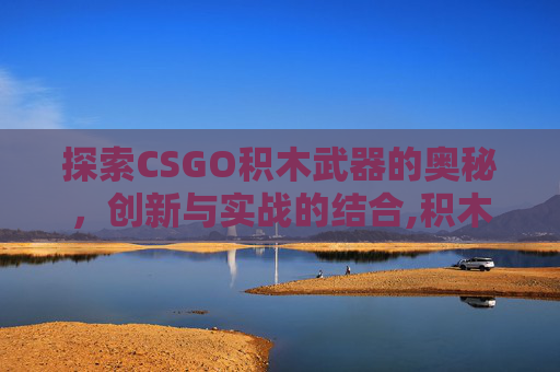 探索CSGO积木武器的奥秘，创新与实战的结合,积木武器配件