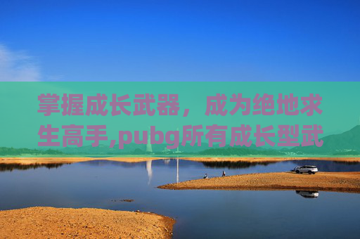 掌握成长武器，成为绝地求生高手,pubg所有成长型武器-第1张图片-游戏守望资讯网