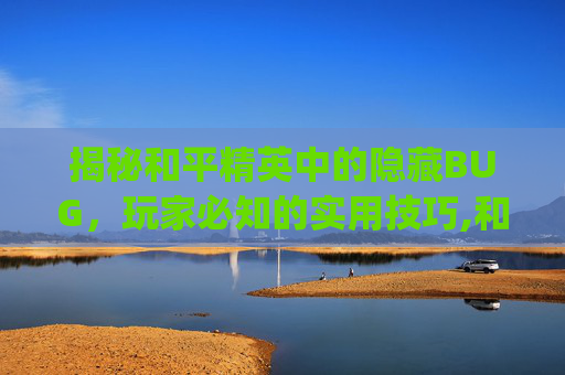 揭秘和平精英中的隐藏BUG，玩家必知的实用技巧,和平精英bug大全视频
