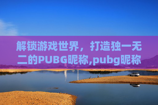 解锁游戏世界，打造独一无二的PUBG昵称,pubg昵称不能用中文吗