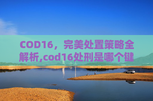 COD16，完美处置策略全解析,cod16处刑是哪个键