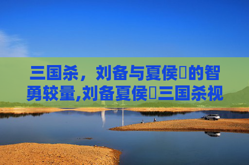 三国杀，刘备与夏侯惇的智勇较量,刘备夏侯惇三国杀视频大全