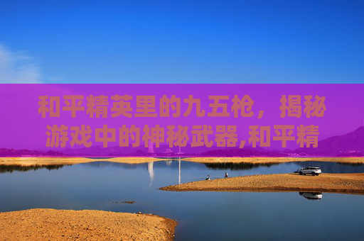 和平精英里的九五枪，揭秘游戏中的神秘武器,和平精英95式小枪