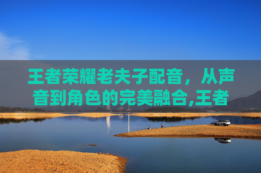 王者荣耀老夫子配音，从声音到角色的完美融合,王者荣耀老夫子配音演员