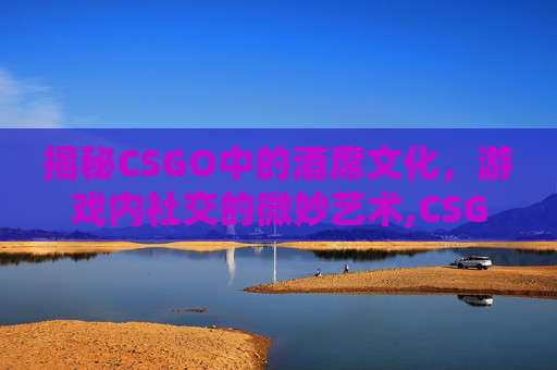 揭秘CSGO中的酒席文化，游戏内社交的微妙艺术,CSGOHITV