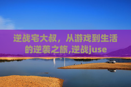 逆战宅大叔，从游戏到生活的逆袭之旅,逆战juse