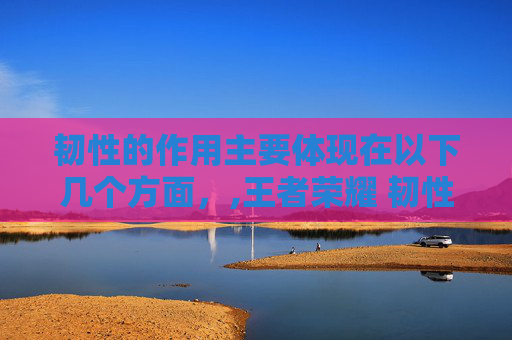 韧性的作用主要体现在以下几个方面，,王者荣耀 韧性是什么