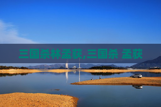 三国杀林孟获,三国杀 孟获-第1张图片-游戏守望资讯网 三国杀林孟获,三国杀 孟获-第1张图片-游戏守望资讯网
