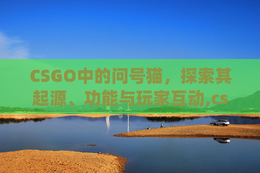 CSGO中的问号猫，探索其起源、功能与玩家互动,csgo猫总
