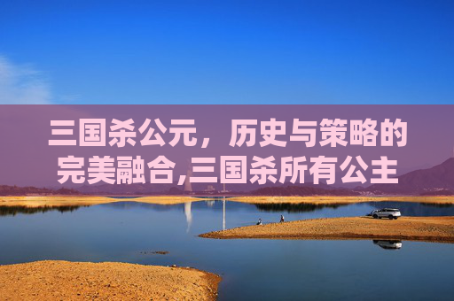 三国杀公元，历史与策略的完美融合,三国杀所有公主