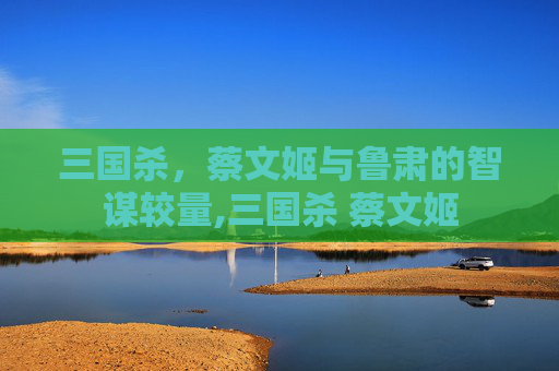 三国杀，蔡文姬与鲁肃的智谋较量,三国杀 蔡文姬
