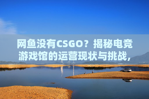 网鱼没有CSGO？揭秘电竞游戏馆的运营现状与挑战,网鱼没有身份证能上网吗-第1张图片-游戏守望资讯网
