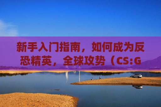 新手入门指南，如何成为反恐精英，全球攻势（CS:GO）的高手,csgo新手指南