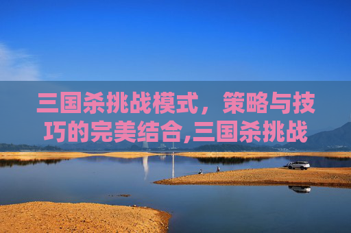 三国杀挑战模式，策略与技巧的完美结合,三国杀挑战模式官网