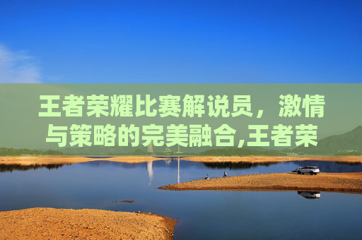 王者荣耀比赛解说员，激情与策略的完美融合,王者荣耀比赛解说员叫什么