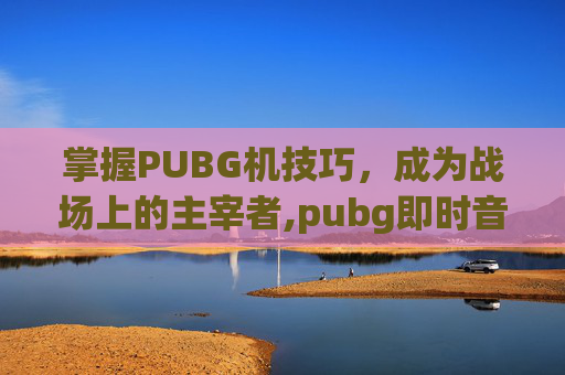 掌握PUBG机技巧，成为战场上的主宰者,pubg即时音量降低器是哪个键