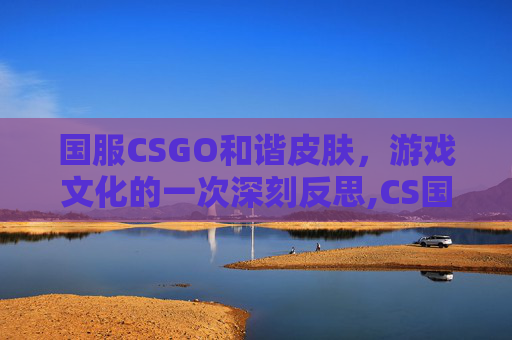 国服CSGO和谐皮肤，游戏文化的一次深刻反思,CS国服和谐内容