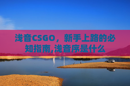 浅音CSGO，新手上路的必知指南,浅音序是什么