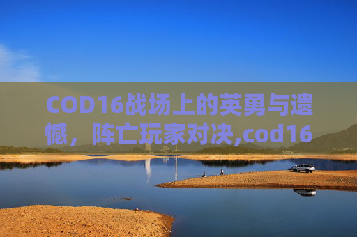COD16战场上的英勇与遗憾，阵亡玩家对决,cod16战队