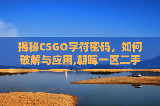 揭秘CSGO字符密码，如何破解与应用,朝晖一区二手房-第1张图片-游戏守望资讯网