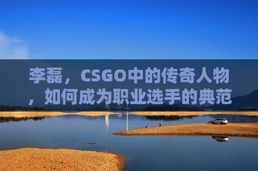 李磊，CSGO中的传奇人物，如何成为职业选手的典范