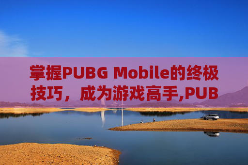掌握PUBG Mobile的终极技巧，成为游戏高手,PUBG TOOL正式版