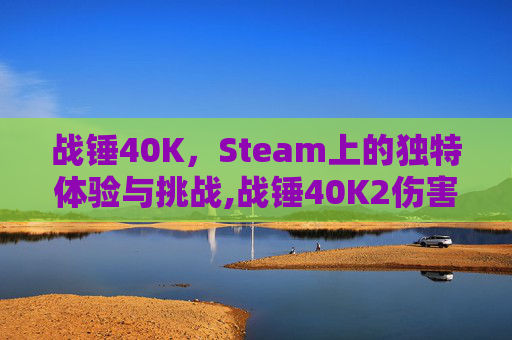 战锤40K，Steam上的独特体验与挑战,战锤40K2伤害电脑吗