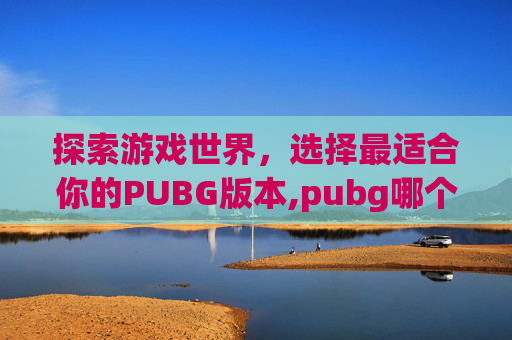 探索游戏世界，选择最适合你的PUBG版本,pubg哪个版本才是正常服