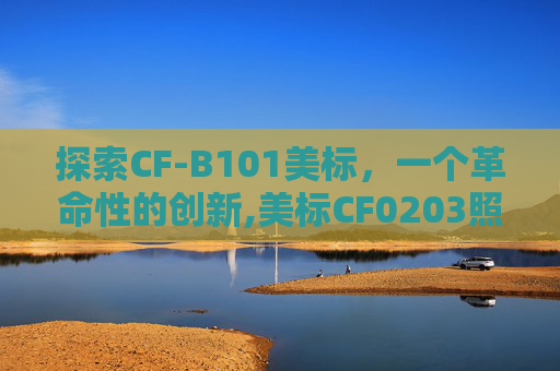探索CF-B101美标，一个革命性的创新,美标CF0203照片