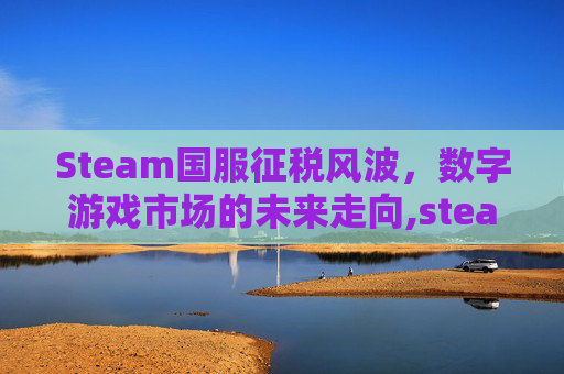 Steam国服征税风波，数字游戏市场的未来走向,steam给中国交税吗